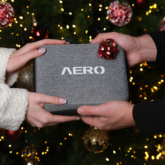 Bolsa de transporte Aeromax